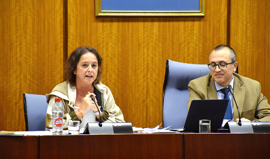 Catalina García ha informado sobre el Proyecto de Ley de Presupuestos de su consejería en Comisión parlamentaria.